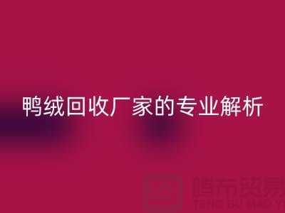 90%白鵝絨、90%白鴨絨與90%灰鴨絨：上海鴨絨回收廠家的專業解析