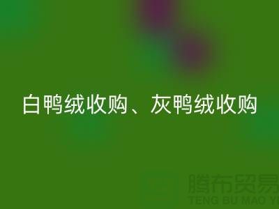 白鴨絨收購、灰鴨絨收購、白鵝絨收購、灰鵝絨收購、上海羽絨回收廠家