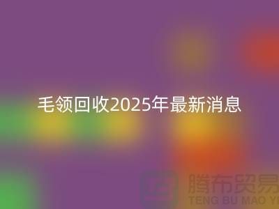 ## 毛領回收2025年最新消息